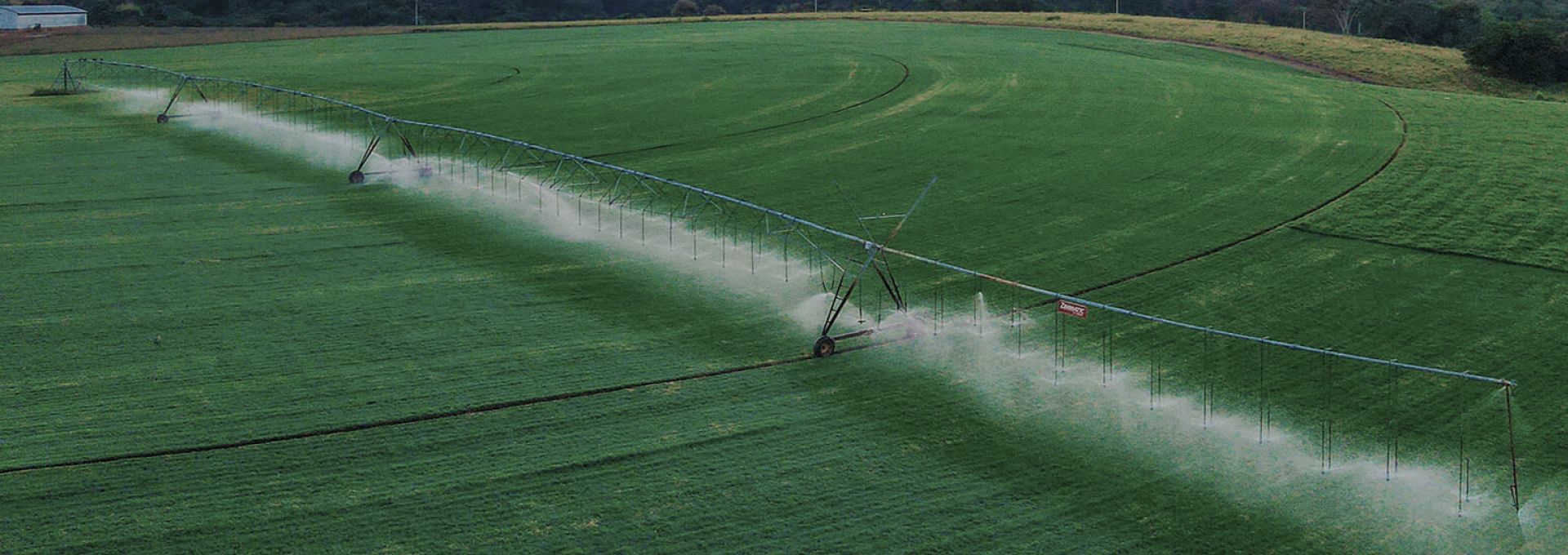 Conheça o nosso Feno da Villa