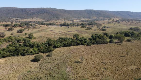 Imagem Fazenda Terra Nova