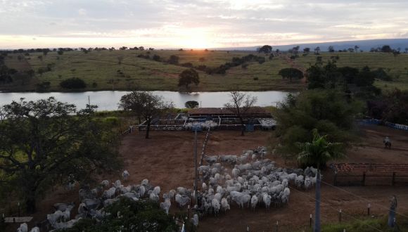 Imagem Fazenda Olhos d'agua