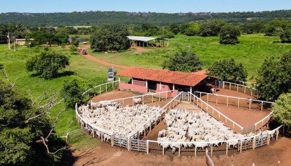 Imagem Fazenda Villa Canabrava