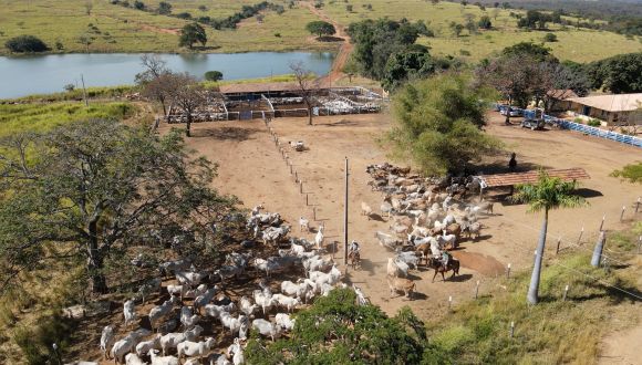 Imagem Fazenda Olhos d'agua