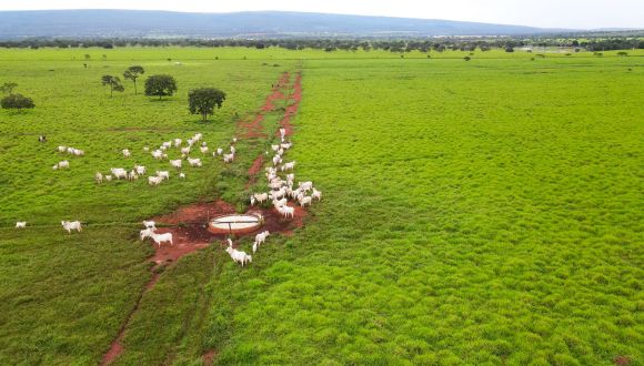 Imagem Fazenda Jequitaí