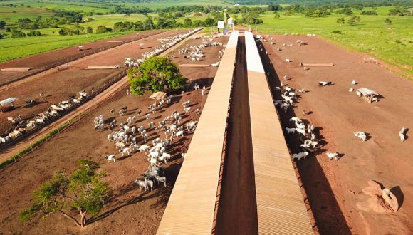 Imagem Fazenda Villa Canabrava