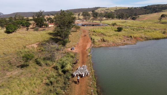 Imagem Fazenda Olhos d'agua