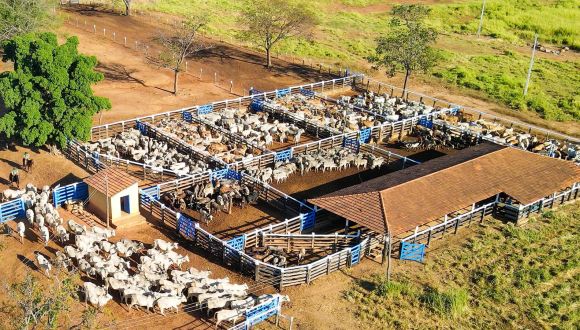 Imagem Fazenda Olhos d'agua