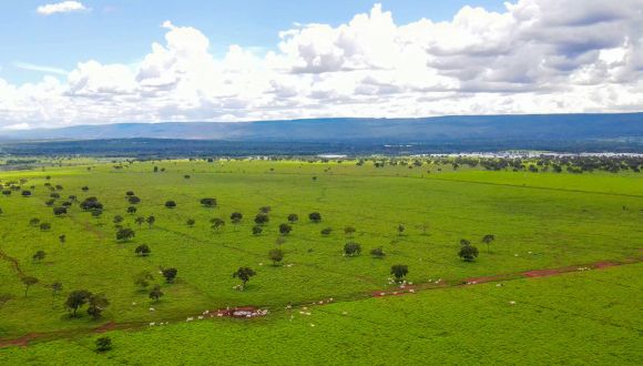 Imagem Fazenda Jequitaí