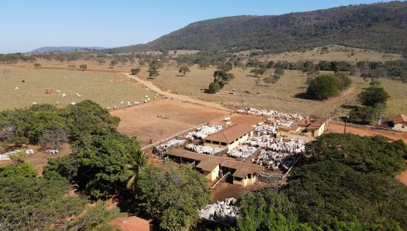 Imagem Fazenda Terra Nova