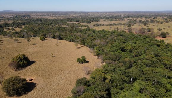 Imagem Fazenda Terra Nova