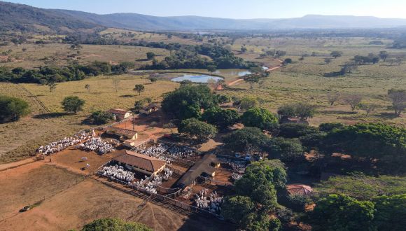 Imagem Fazenda Terra Nova