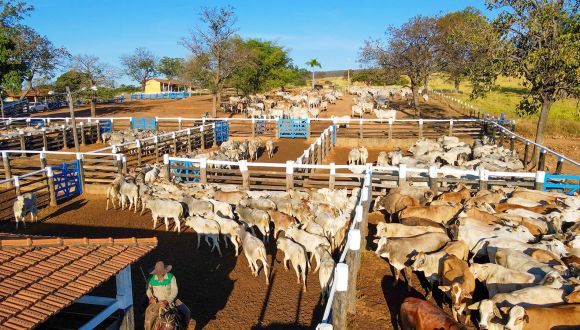 Imagem Fazenda Olhos d'agua